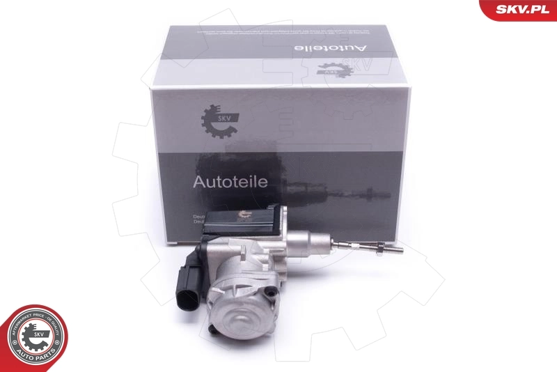 Boost Pressure Control Valve